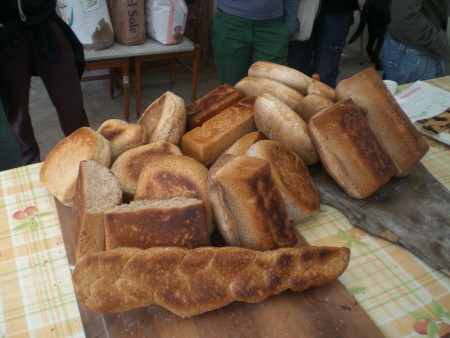 Pane casalingo